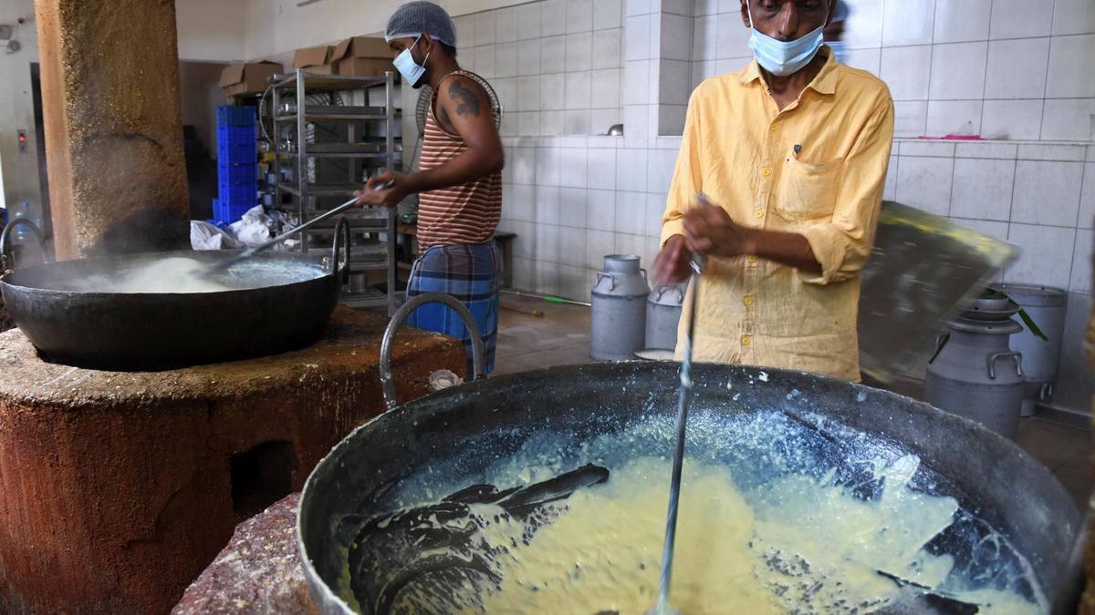 Srivilliputhur Palkova – Authentic Taste of Tamil Nadu