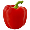 Capsicum - Red (1 pcs) Onezeros.in