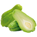 Chow Chow 500 grams Onezeros.in