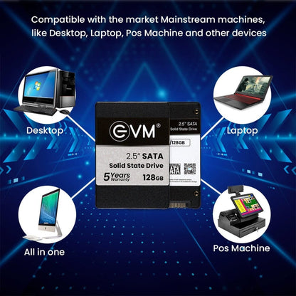 EVM 128GB SSD SATA Storage Devices for Computers Onezeros.in
