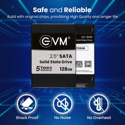 EVM 128GB SSD SATA Storage Devices for Computers Onezeros.in