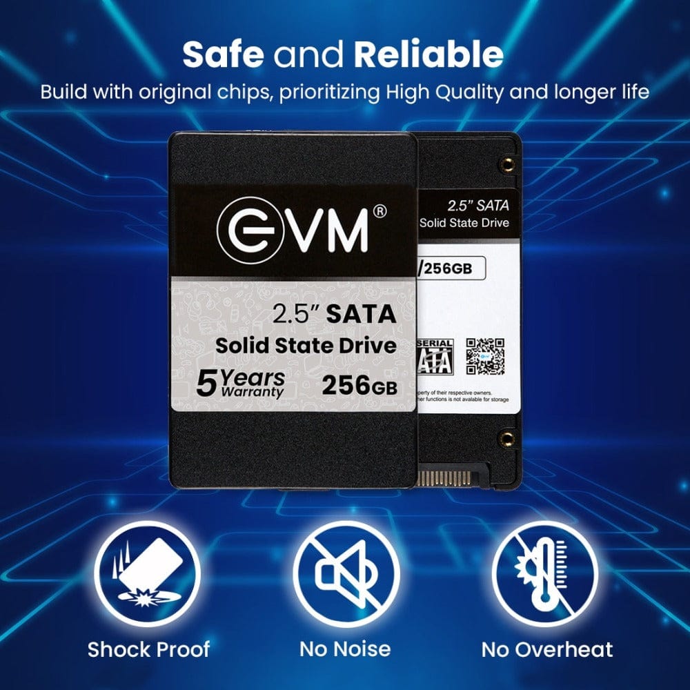 EVM 256GB SSD 2.5" INCH SATA Storage Devices for Computers Onezeros.in