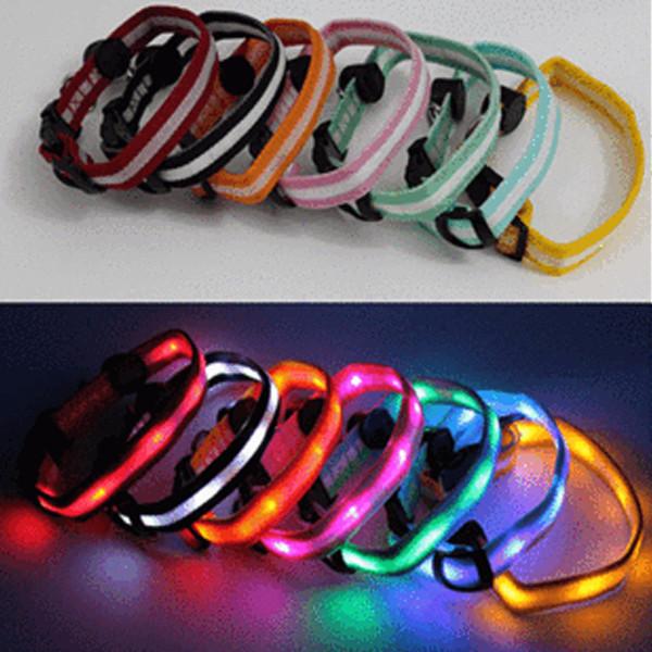 LED Dog Collar - Assorted Colors and Sizes Orange / Small Onezeros.in