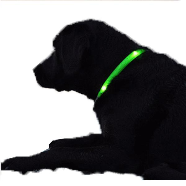 LED Dog Collar - Assorted Colors and Sizes Onezeros.in