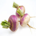 Turnips 250 grams Onezeros.in